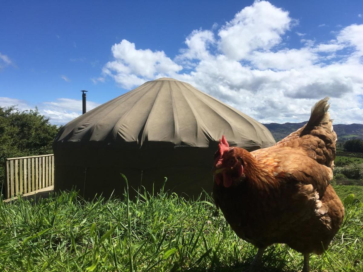 Luxury tent Luxury Camping