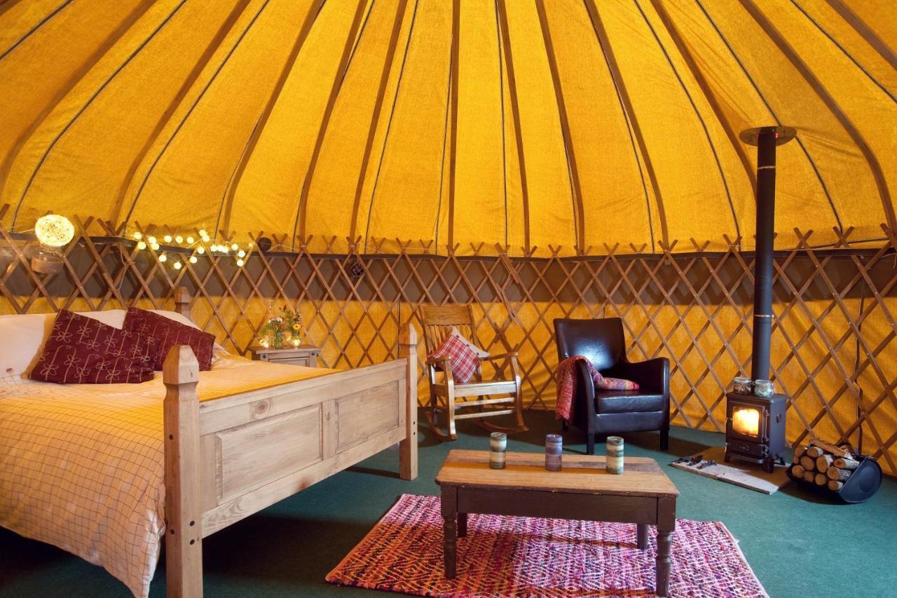 Luxury tent Luxury Camping