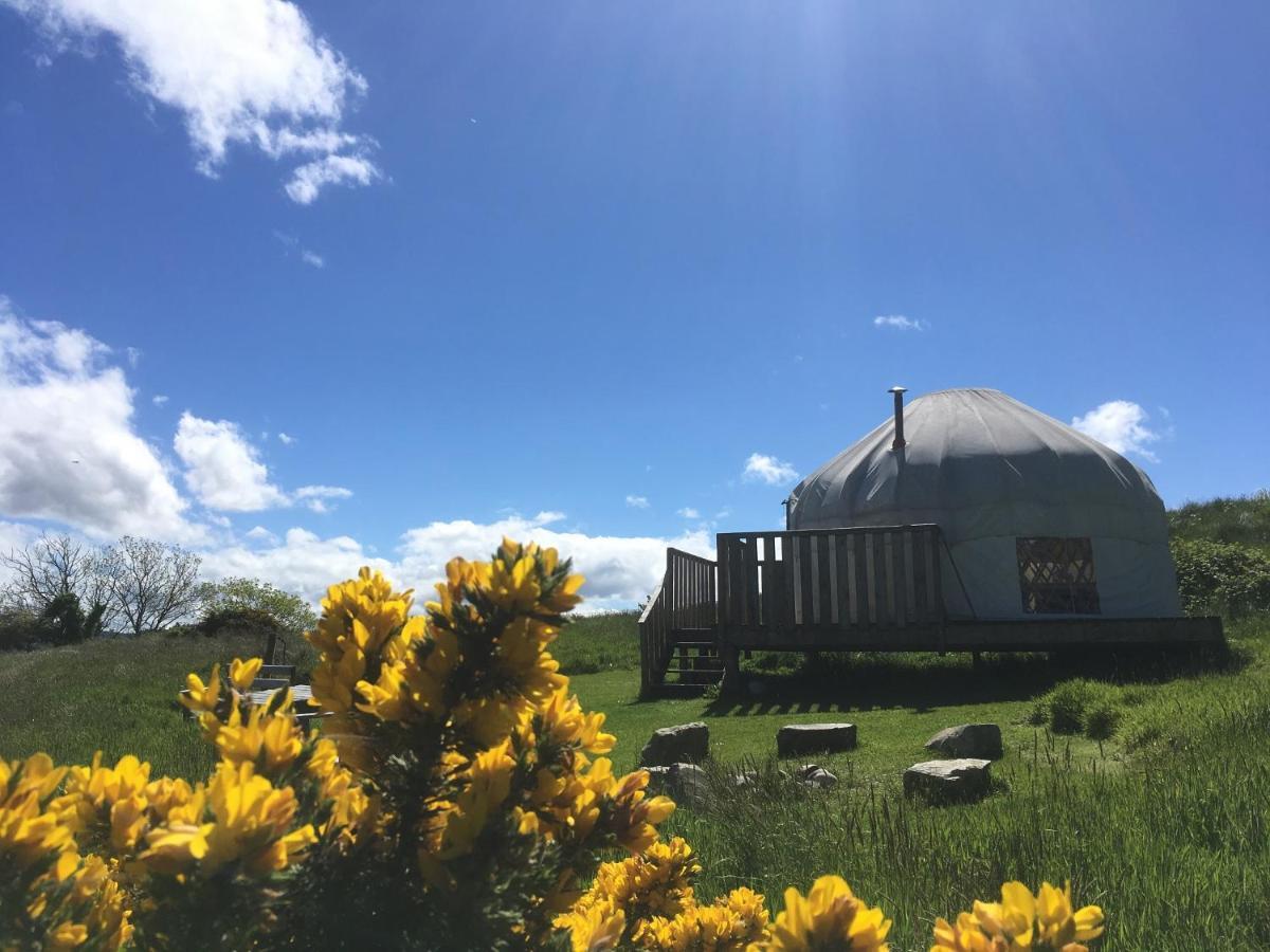 Luxury tent Luxury Camping 3*