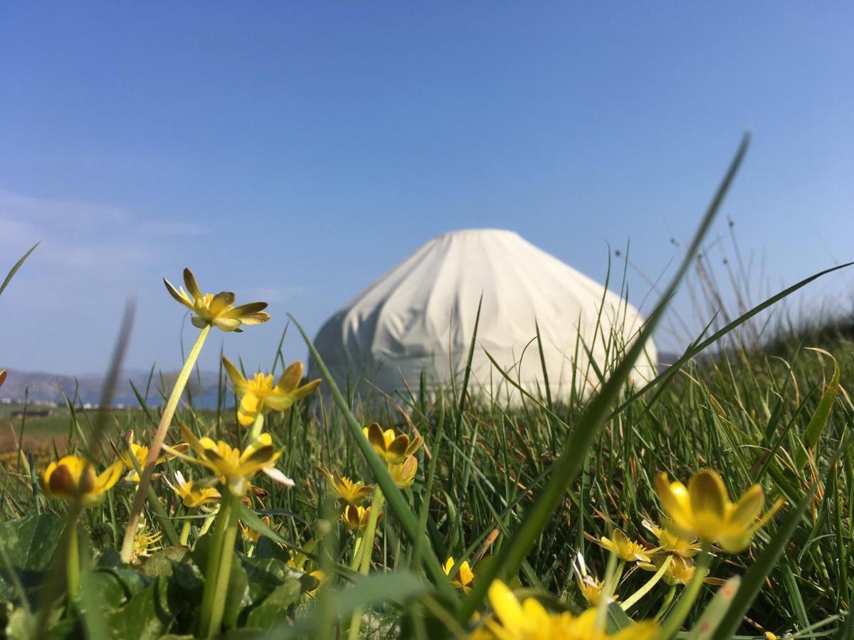 Luxury tent Luxury Camping